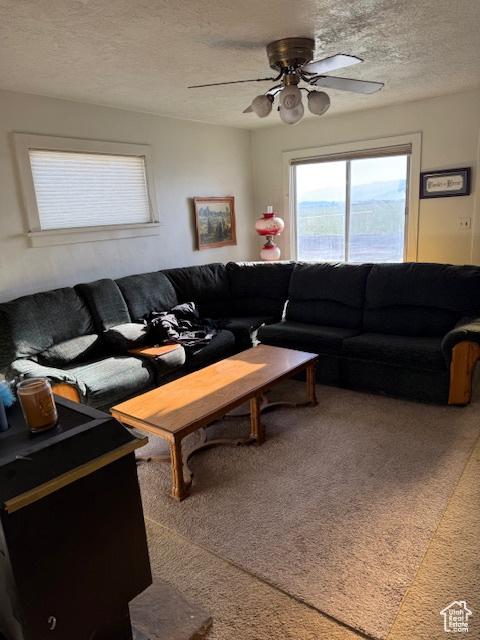 1439 N Westside Hwy W, Dayton, ID 83232 - carpeted living area with a textured ceiling and ceiling fan