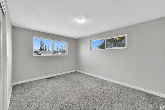carpeted empty room with visible vents, baseboards, a textured ceiling, and a healthy amount of sunlight