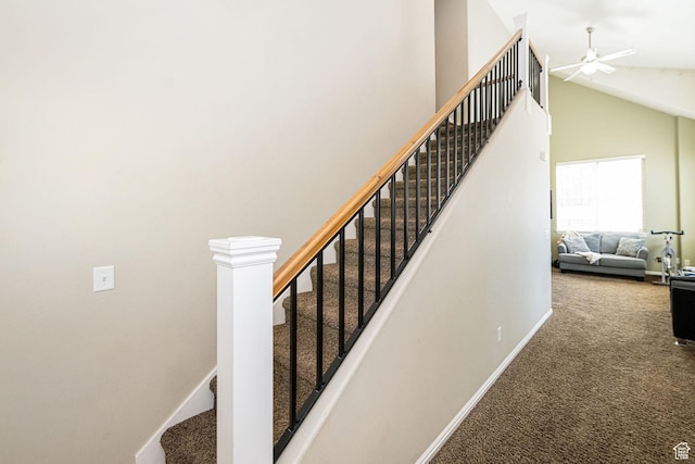 stairway with high vaulted ceiling, carpet, baseboards, and a ceiling fan