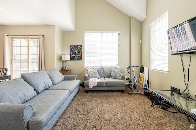 carpeted living room featuring lofted ceiling and a healthy amount of sunlight