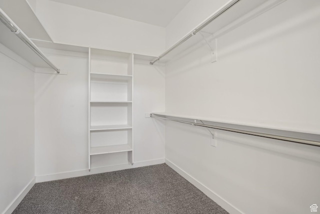 spacious closet featuring dark carpet