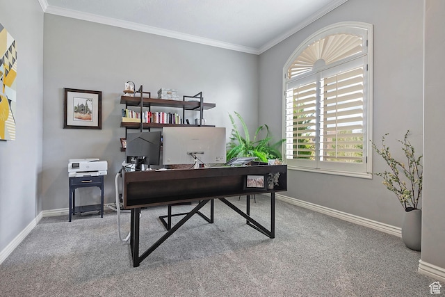 office space with crown molding, baseboards, and carpet