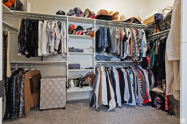 walk in closet featuring carpet flooring