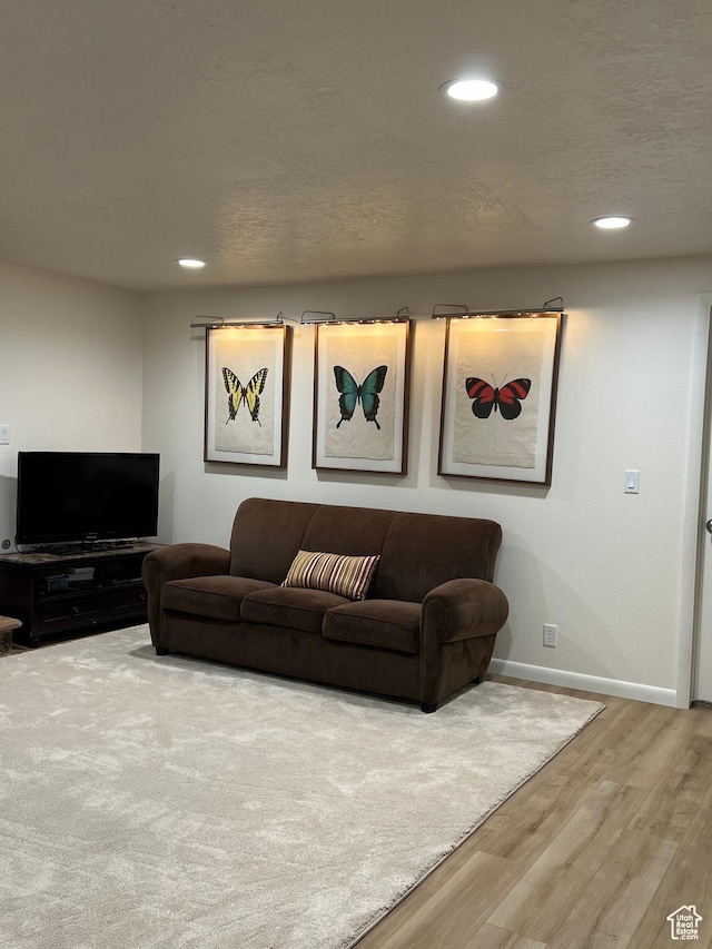 living area featuring baseboards, recessed lighting, and wood finished floors