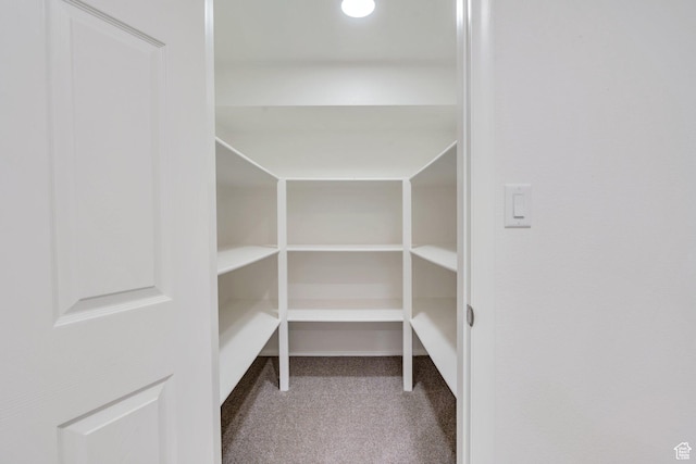 1769 Cobblestone Dr, Provo, UT 84604 - view of pantry