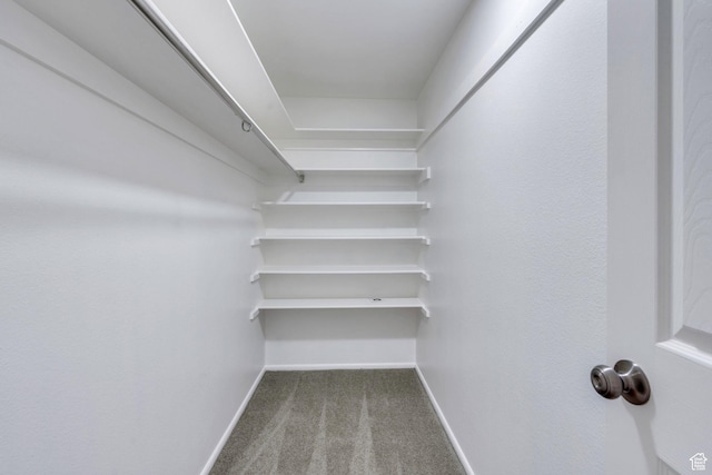 1769 Cobblestone Dr, Provo, UT 84604 - spacious closet with carpet flooring