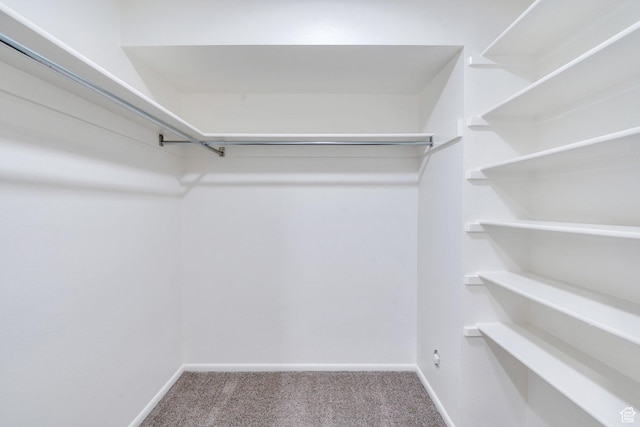 1769 Cobblestone Dr, Provo, UT 84604 - spacious closet featuring carpet floors
