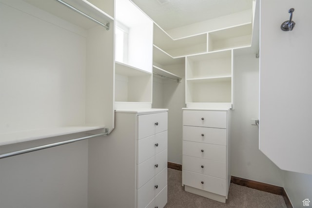 1844 N Wellington St, Washington, UT 84780 - walk in closet featuring carpet