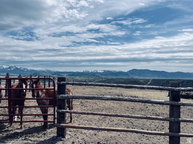 4270 W 2000 N, Malad City, ID 83252 - view of yard featuring a mountain view and a rural view
