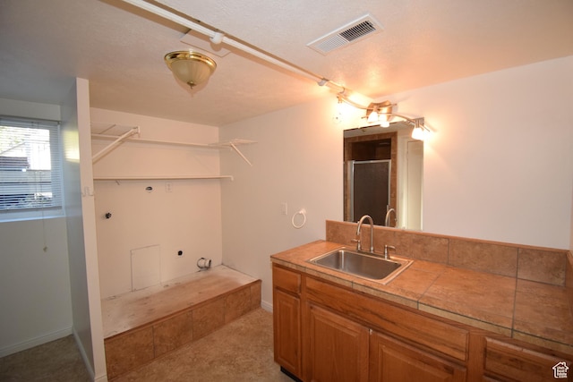 9111 S Parakeet Dr, Sandy, UT 84093 - clothes washing area with baseboards, a textured ceiling, visible vents, light colored carpet, and a sink