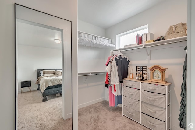 walk in closet with carpet flooring