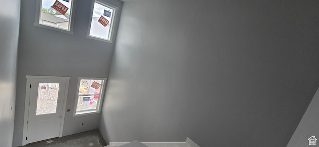 entryway with a wealth of natural light
