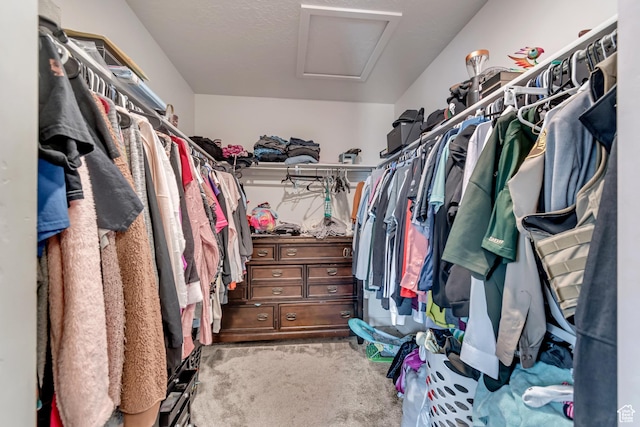 spacious closet with attic access and carpet