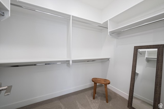 walk in closet with carpet