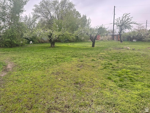 210 S 350 W, Bountiful, UT 84010 - view of yard