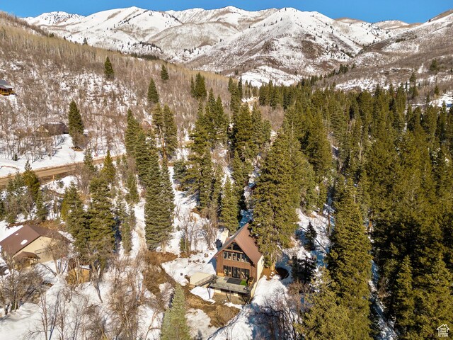 2480 W Snake Creek Rd, Midway, UT 84049