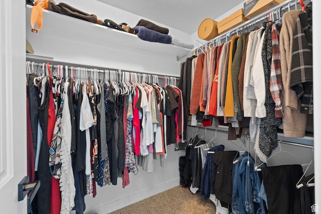 4634 W Baldy Dr, West Jordan, UT 84088 - spacious closet with carpet