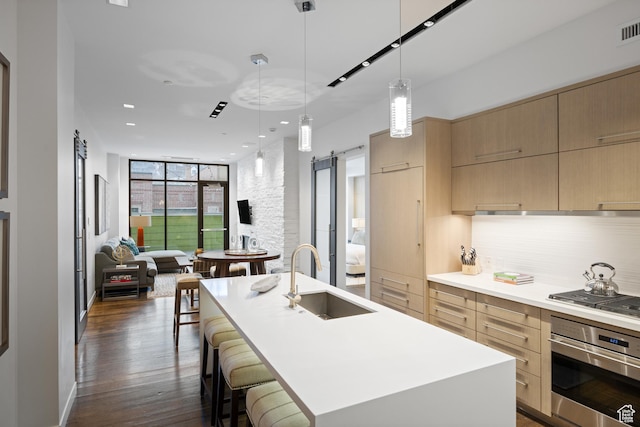 333 Main St Unit 23, Park City, UT 84060 - kitchen with modern cabinets, a barn door, appliances with stainless steel finishes, a sink, and light brown cabinets