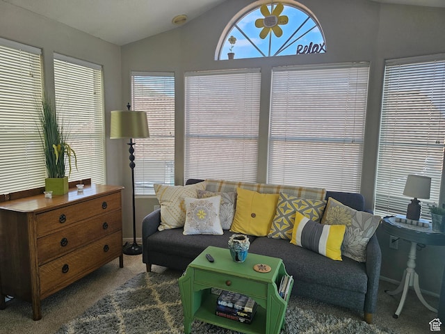 16 Mountain Vw, Hurricane, UT 84737 - carpeted living room featuring vaulted ceiling