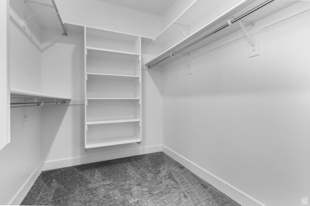 4125 N Maple Blvd W Unit 119, Lehi, UT 84043 - spacious closet with carpet