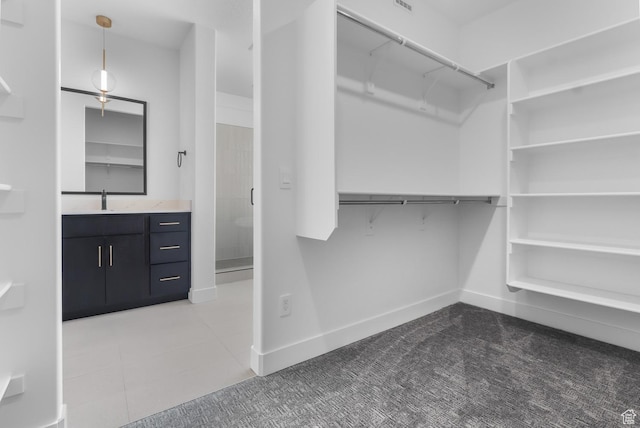 4125 N Maple Blvd W Unit 119, Lehi, UT 84043 - walk in closet featuring carpet floors, a sink, and tile patterned floors