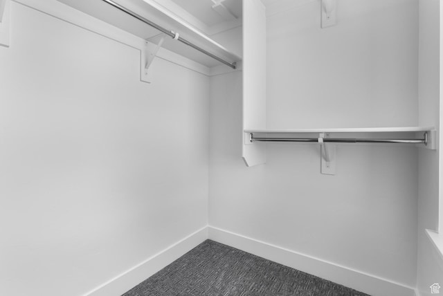 4125 N Maple Blvd W Unit 119, Lehi, UT 84043 - spacious closet featuring dark colored carpet