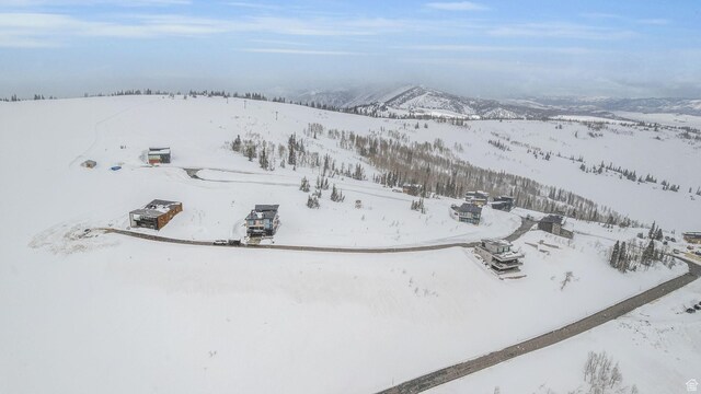 8542 E Overlook Dr Unit 20, Eden, UT 84310