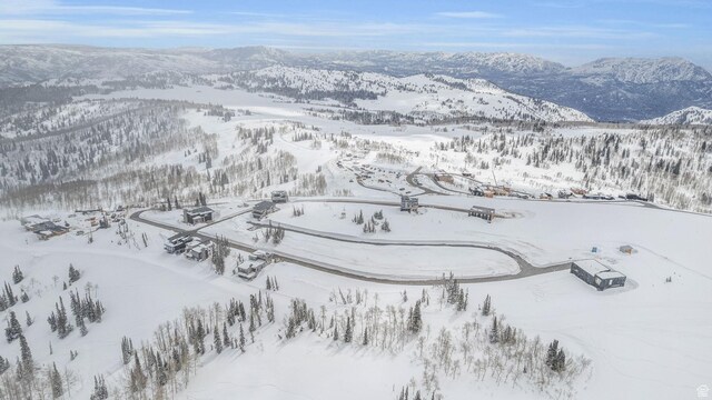 8542 E Overlook Dr Unit 20, Eden, UT 84310