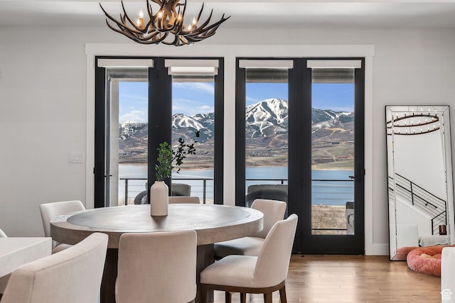dining area with plenty of natural light, an inviting chandelier, and wood finished floors