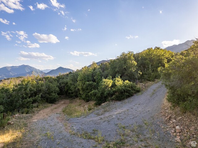 2000 Oak Wood Dr Unit 1, Springville, UT 84663
