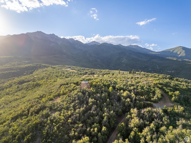 2000 Oak Wood Dr Unit 1, Springville, UT 84663
