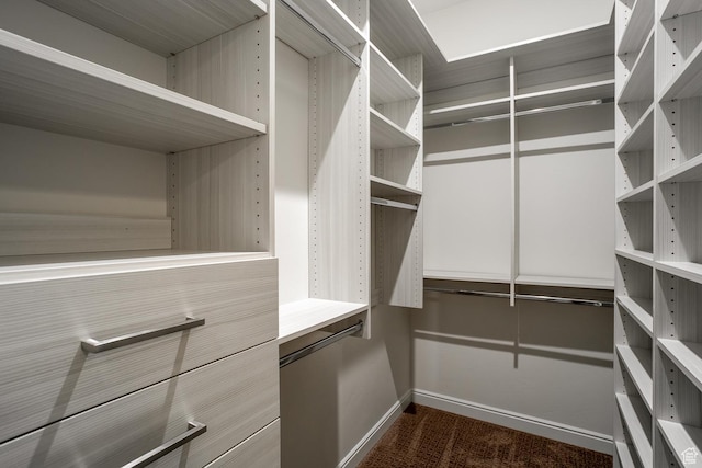 2889 E 1400 S, St George, UT 84790 - walk in closet featuring dark colored carpet
