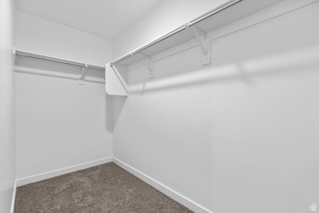 1748 S Windy Ridge Dr Unit 1281, Spanish Fork, UT 84660 - walk in closet featuring carpet flooring