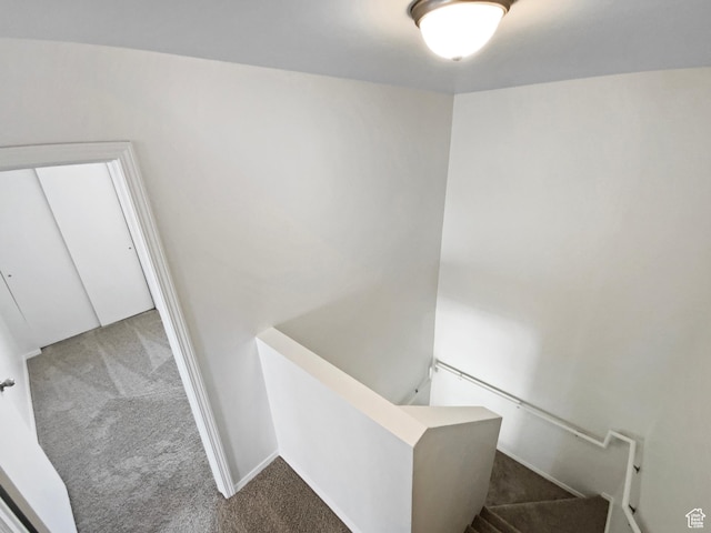 6647 W Merlot Way, West Jordan, UT 84081 - stairway with carpet