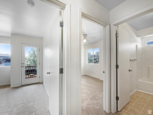 6647 W Merlot Way, West Jordan, UT 84081 - hall featuring baseboards and carpet