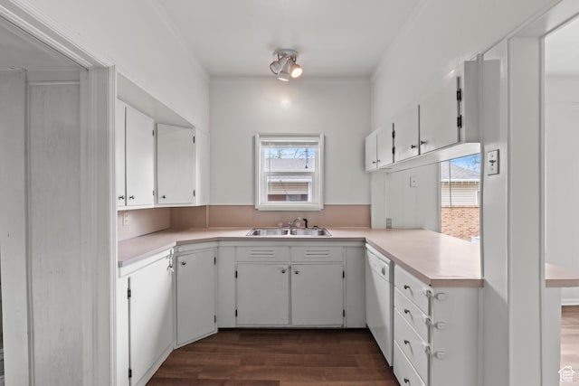 180 S 300 E, Logan, UT 84321 - kitchen featuring light countertops, a sink, dark wood-style floors, and white dishwasher