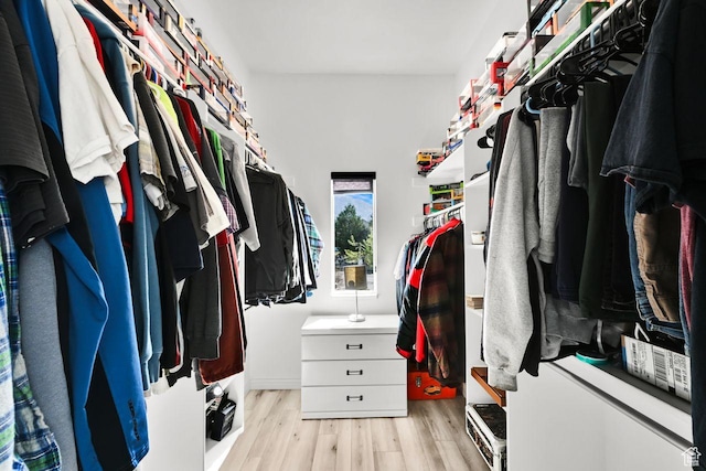 walk in closet with light wood finished floors