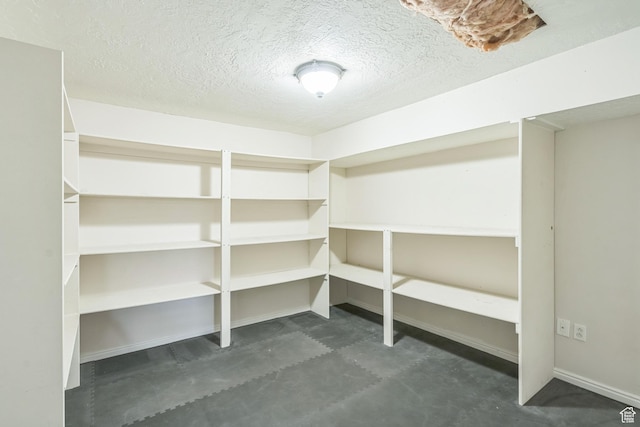 8046 W Harker Canyon Dr, Magna, UT 84044 - view of storage