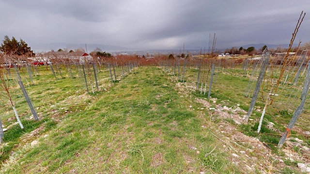 1525 E 200 S, Pleasant Grove, UT 84062 - view of yard with fence and a rural view