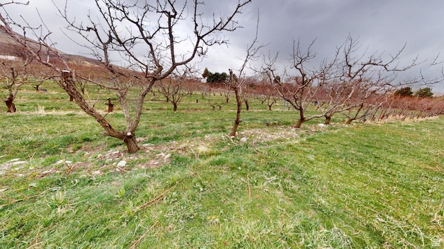 1525 E 200 S, Pleasant Grove, UT 84062 - view of nature