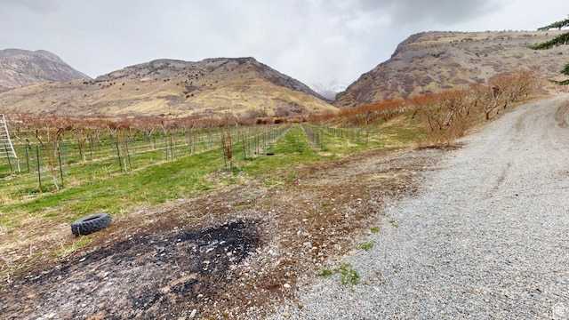 1525 E 200 S, Pleasant Grove, UT 84062 - view of mountain feature featuring a rural view