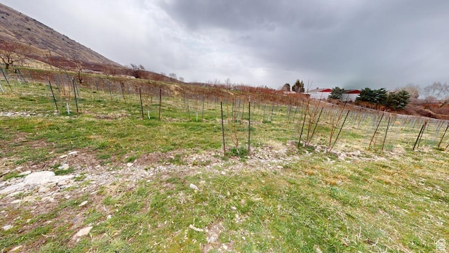 1525 E 200 S, Pleasant Grove, UT 84062 - view of yard with a rural view and fence
