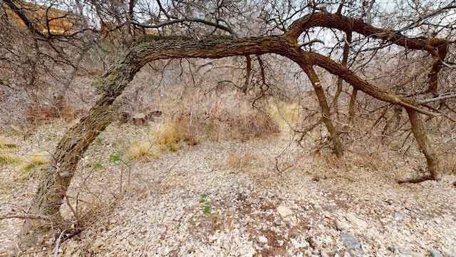 1525 E 200 S, Pleasant Grove, UT 84062 - view of local wilderness