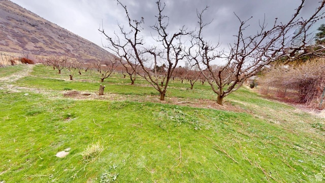 1525 E 200 S, Pleasant Grove, UT 84062 - view of yard with a mountain view and a rural view