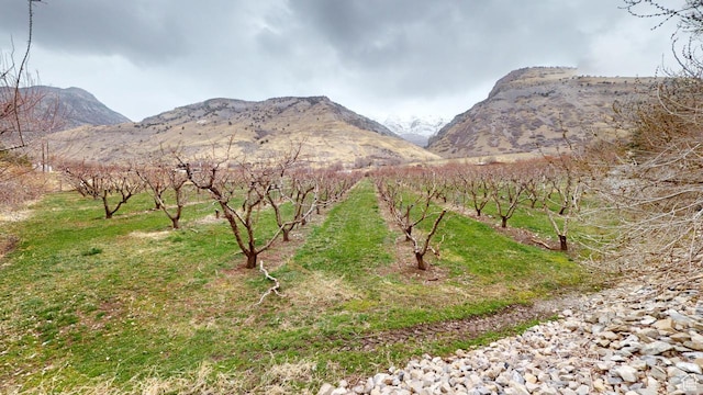 1525 E 200 S, Pleasant Grove, UT 84062 - mountain view with a rural view