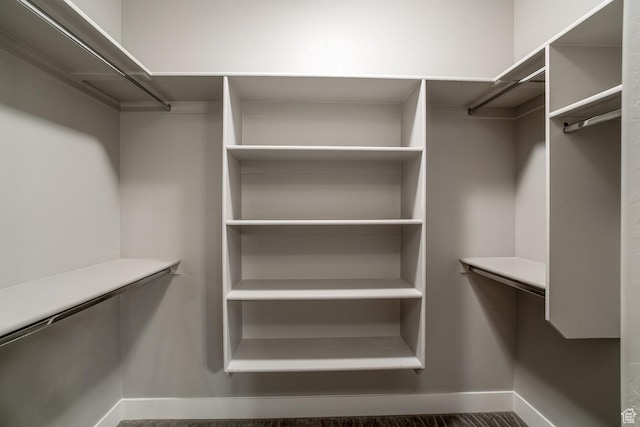 view of walk in closet