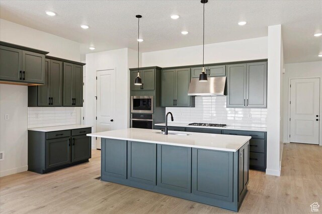 1318 E Larkspur Way, Layton, UT 84040 - kitchen featuring a sink, under cabinet range hood, light wood finished floors, stainless steel appliances, and decorative backsplash