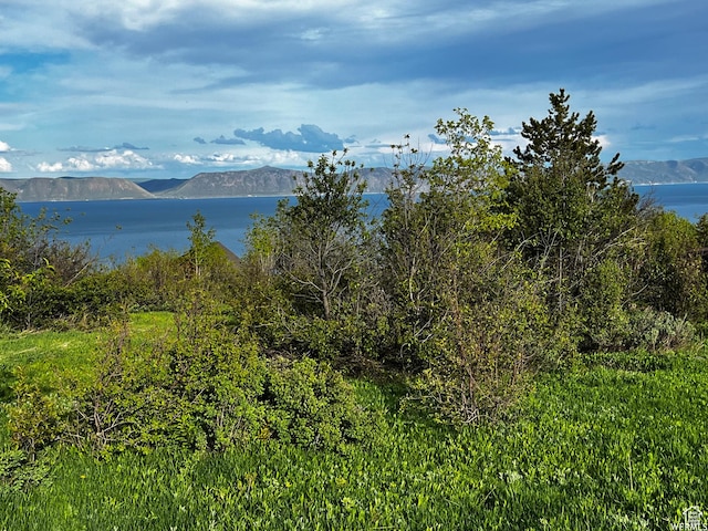 150 Coldsprings Dr Unit 298, Fish Haven, ID 83287