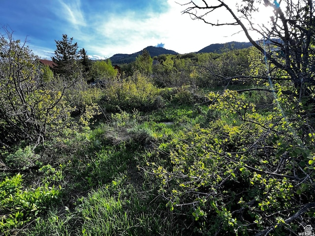 150 Coldsprings Dr Unit 298, Fish Haven, ID 83287