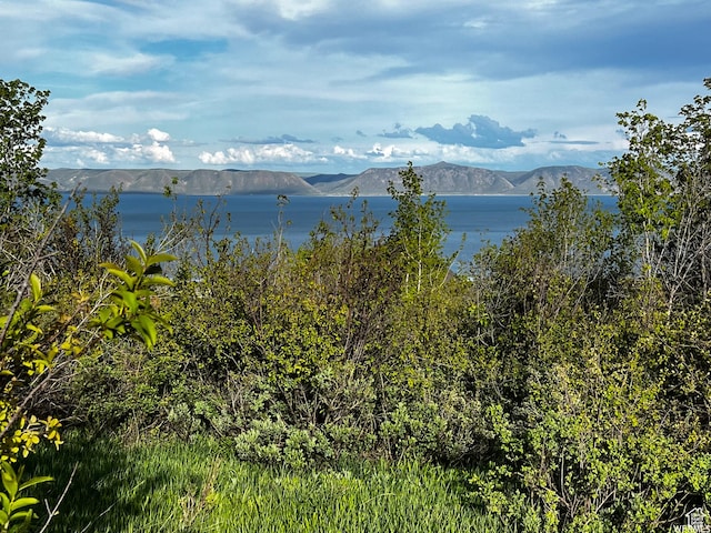 150 Coldsprings Dr Unit 298, Fish Haven, ID 83287